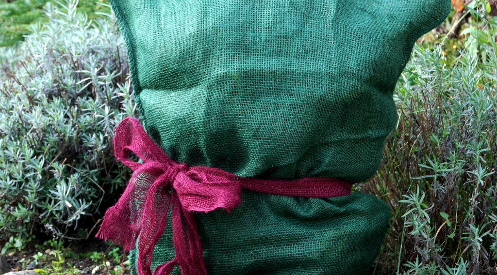 protezione per le piante dal freddo invernale