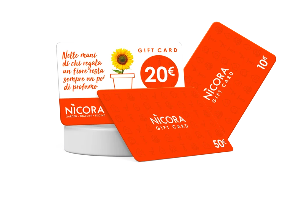 Nicora garden - gift card