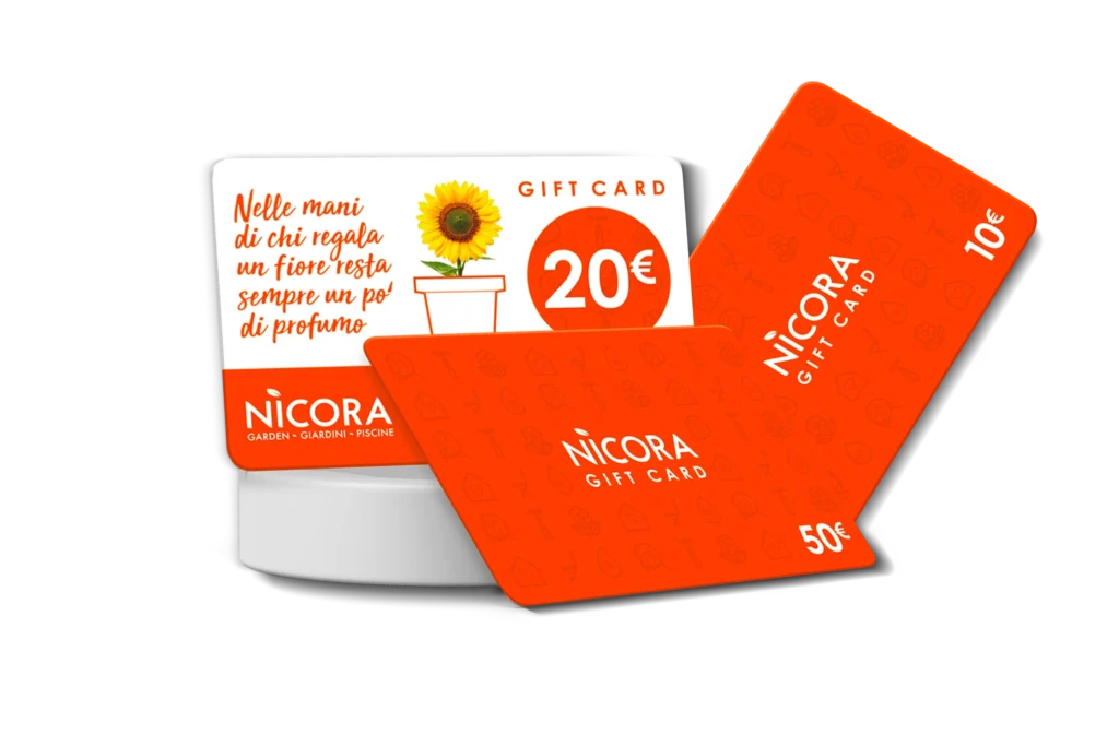Nicora garden - gift card