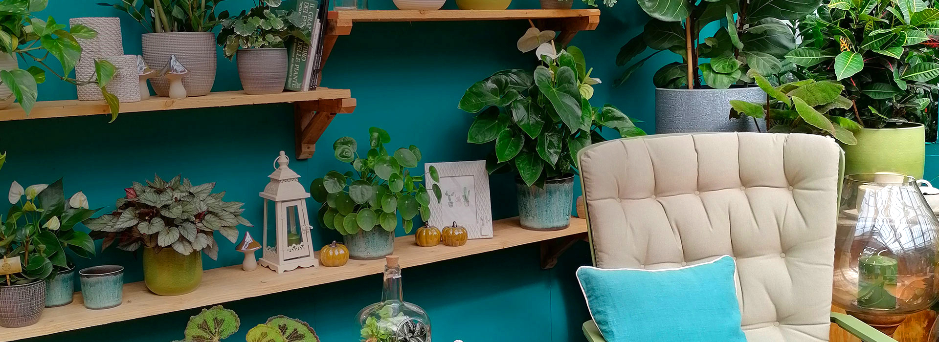Nicora Garden Home