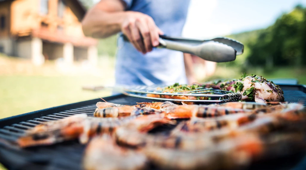 grigliata in giardino con campingaz2