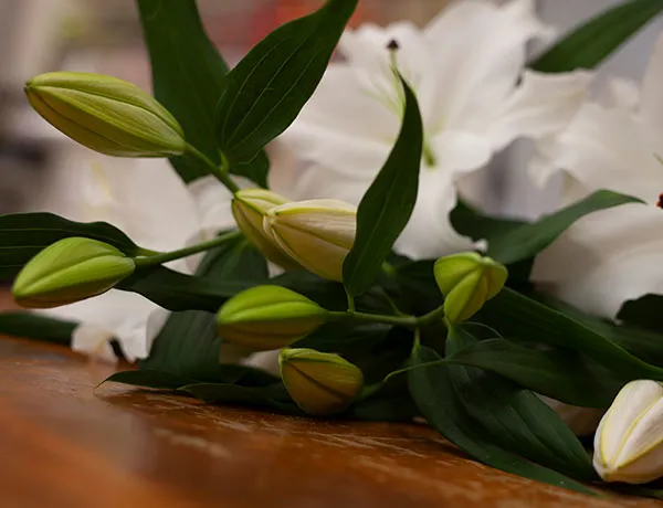 Nicora garden - allestimenti funerali e cimiteri