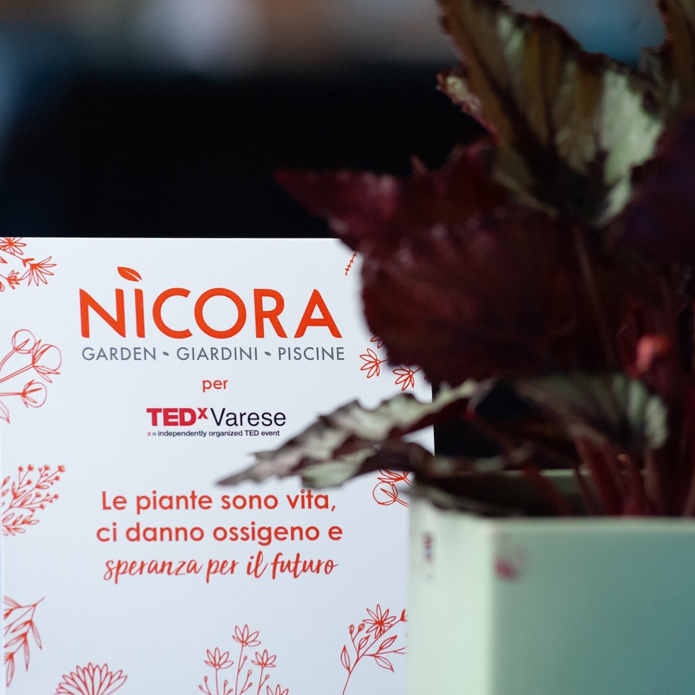 Nicora garden - eventi