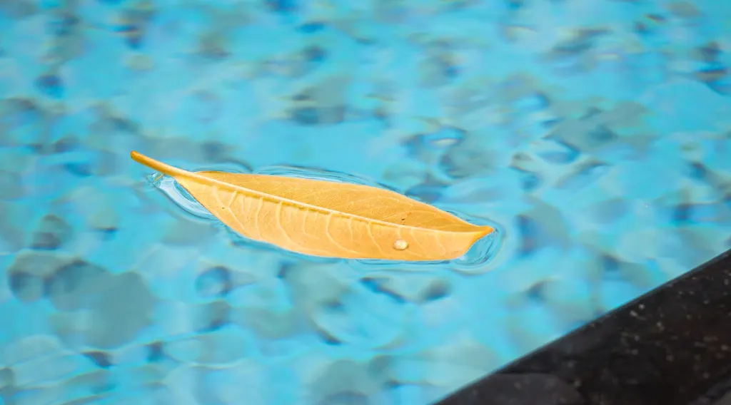 Foglia gialla galleggiante in una piscina, simbolo di pulizia in inverno e autunno